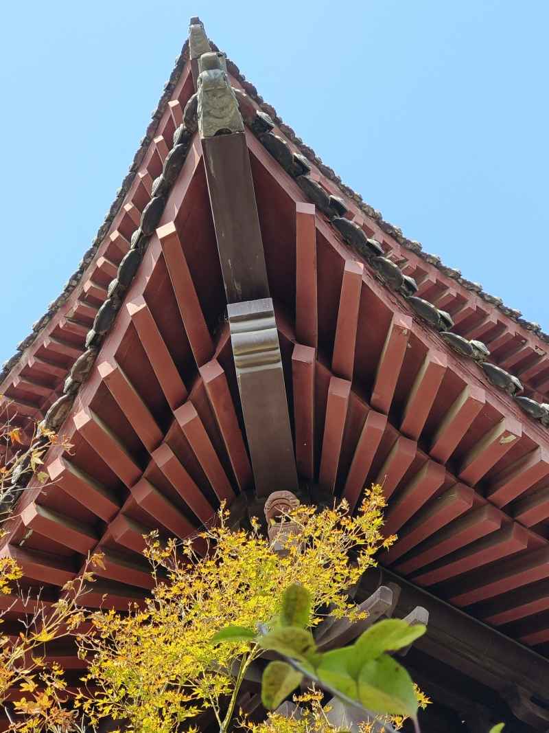 建筑