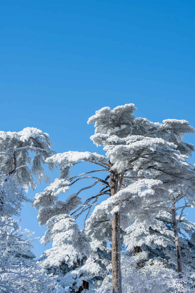 黄山雪景