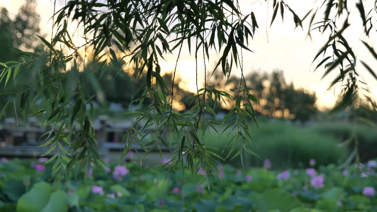 夜色下的城市大桥 6