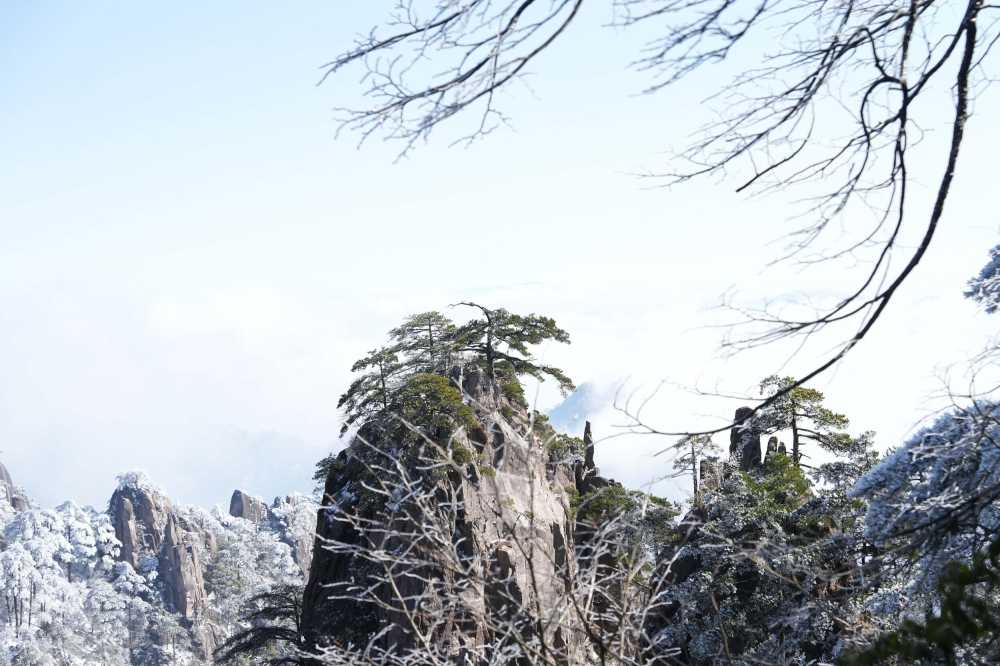 雪落黄山，雾凇云海——山篇