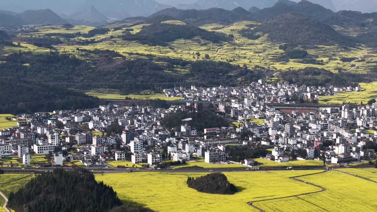 乡村油菜花海与小镇