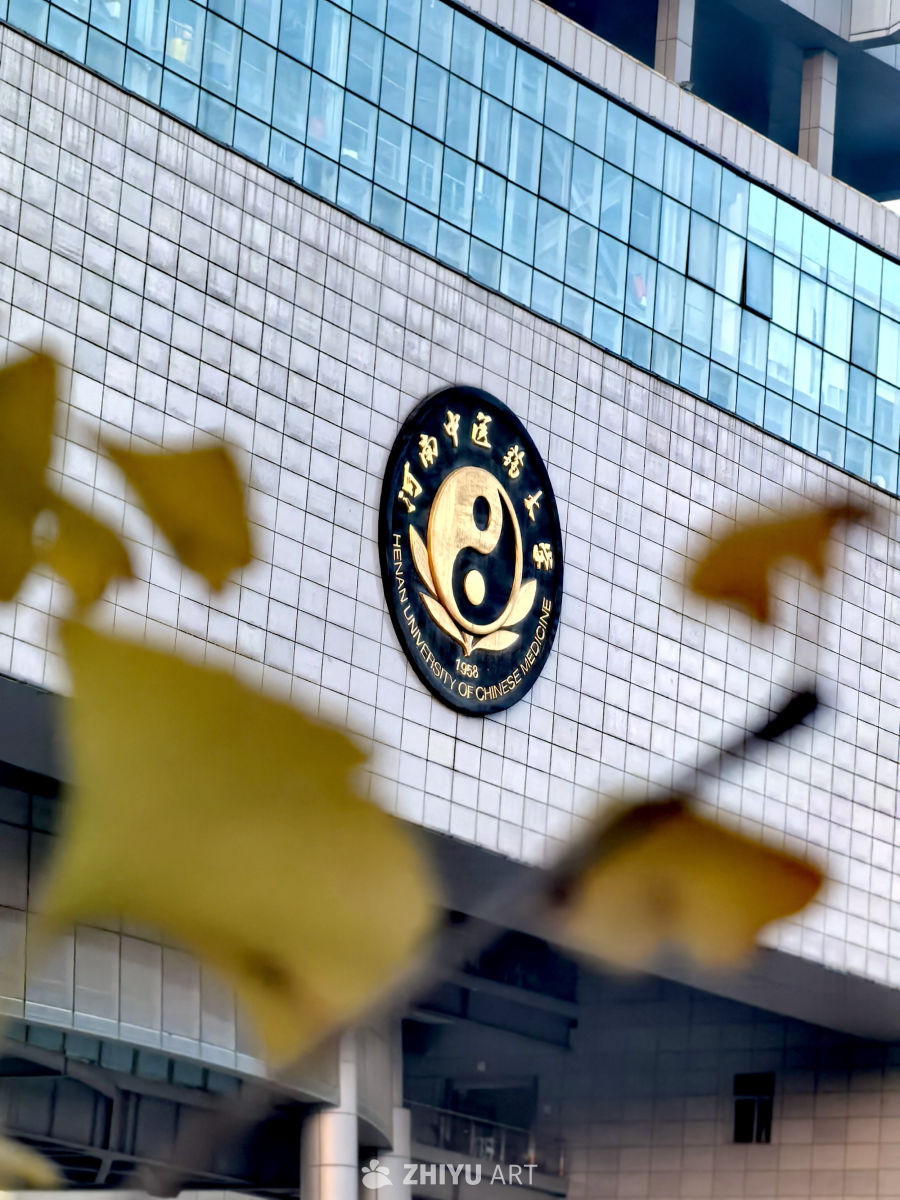 河南中医药大学校徽特写