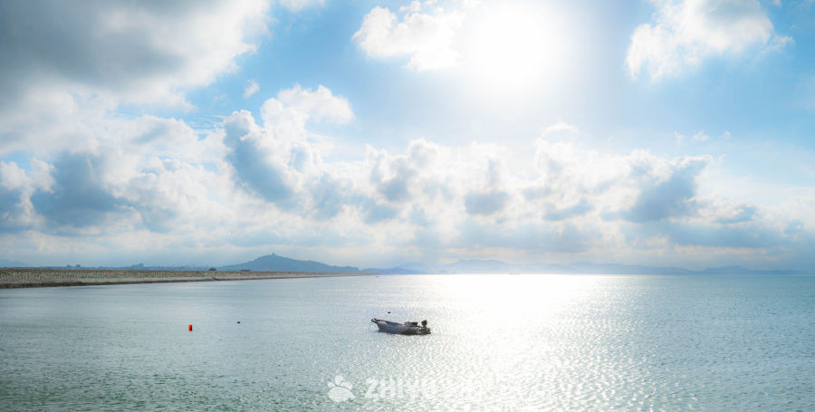 海面上的宁静时光
