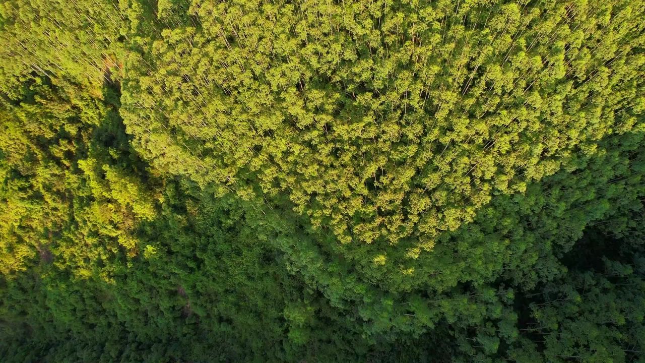 航拍山间绿色森林景观 6