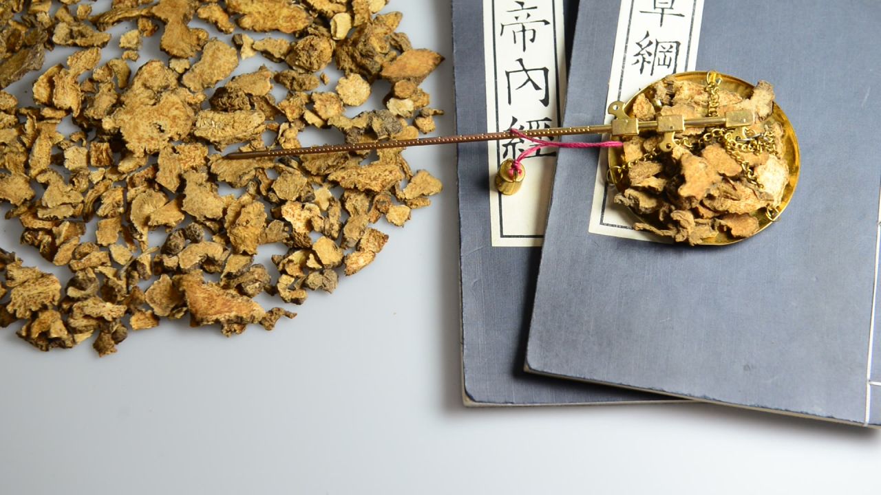 中药材苍术 22