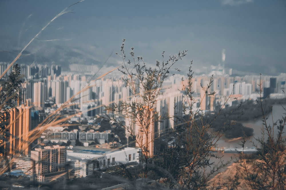 澜庭
