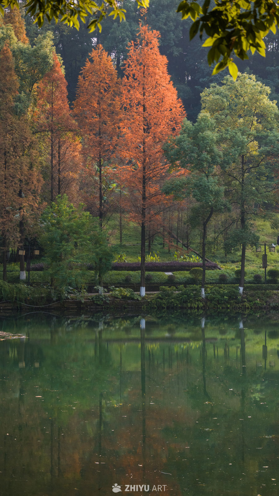 秋日湖畔红叶景