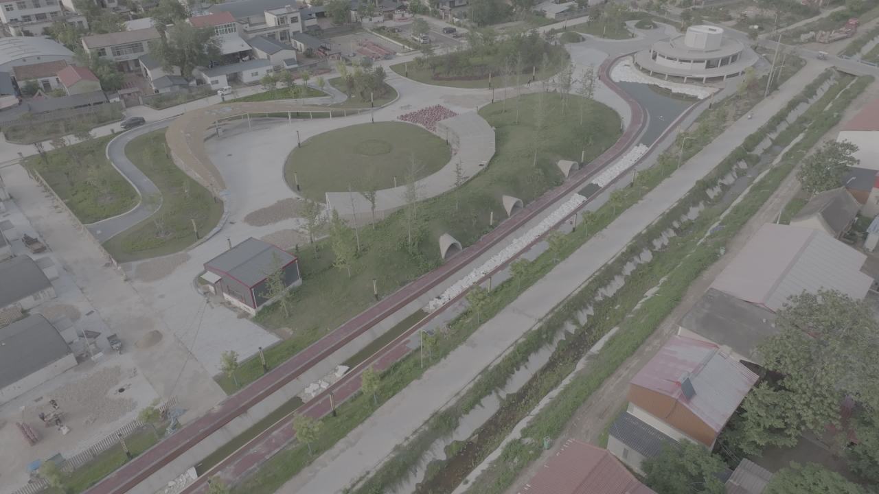 城市绿肺：公园与住宅区的和谐共存