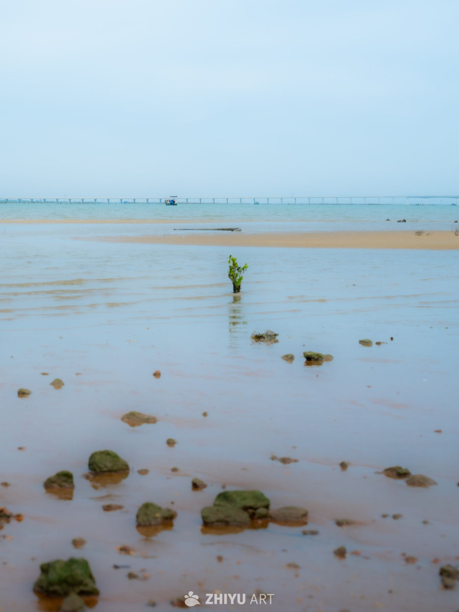 静谧海滩的清晨时光