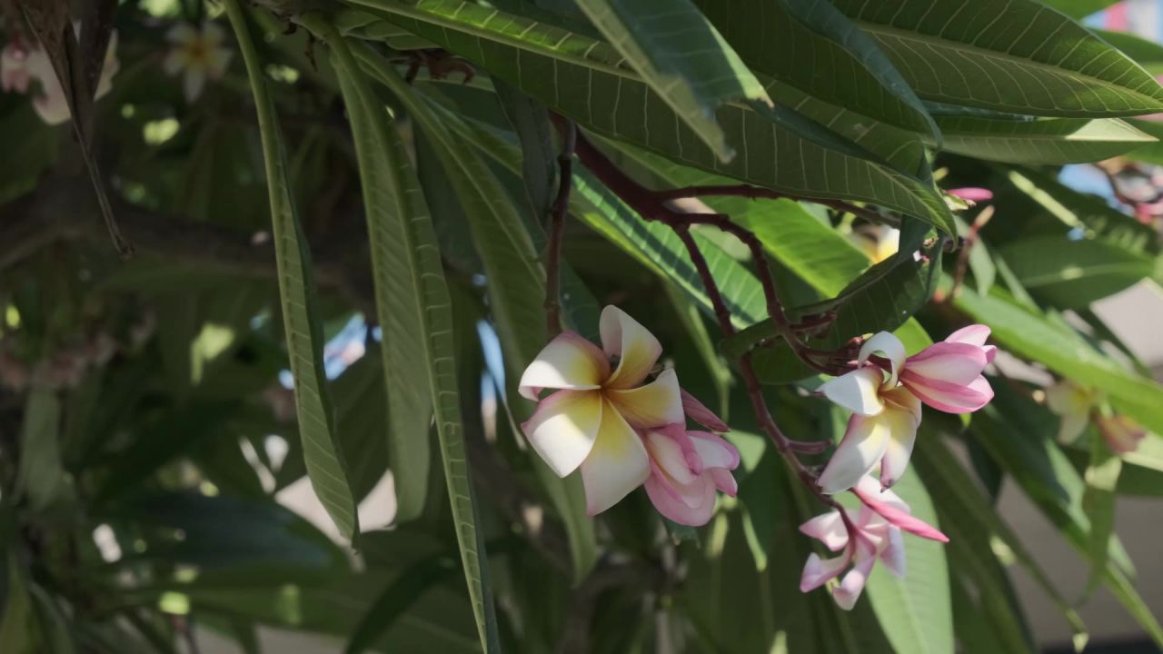 生活细节