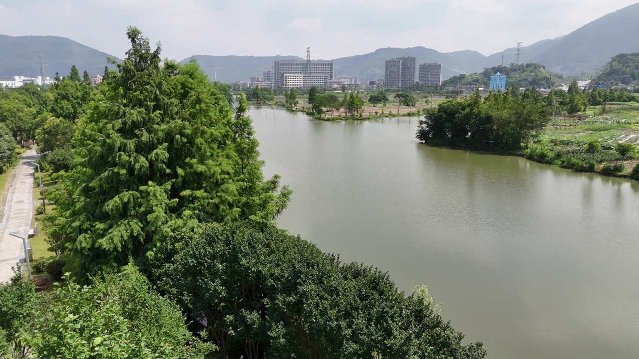 湖畔城市风光