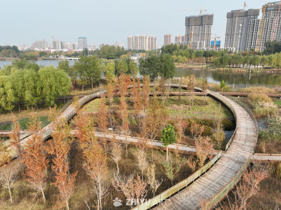 城市湿地公园