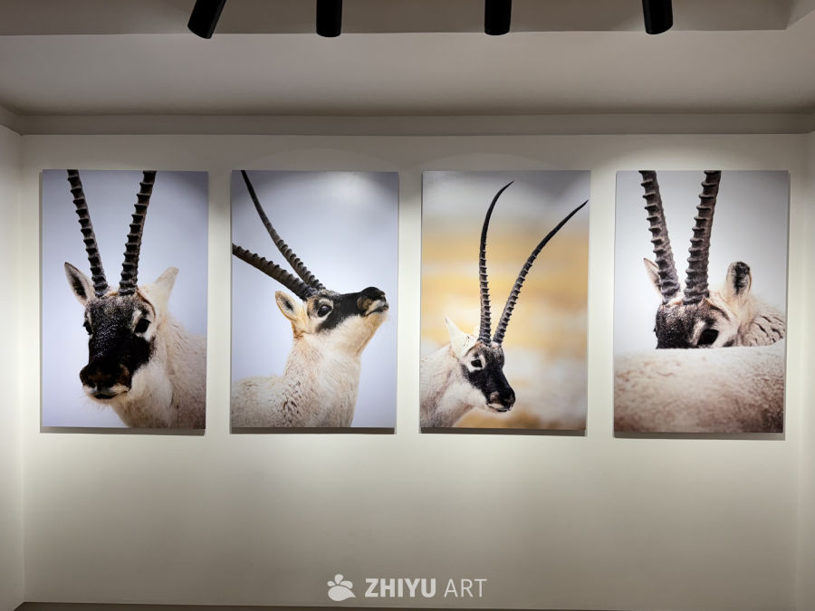 奚志农老师摄影展 在他大理的家 2
