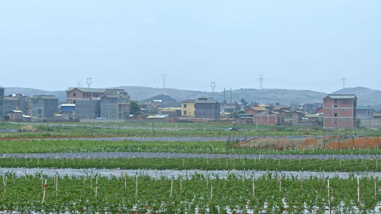 乡村田野风光