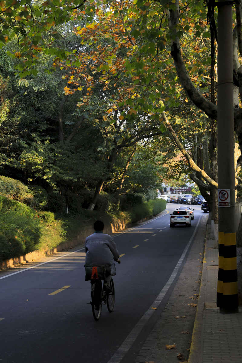 Ctiy walk 青岛市 30