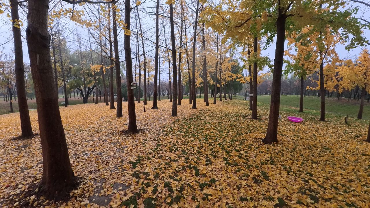 影石Insta360 GO Ultra 4K实拍视频样片 16