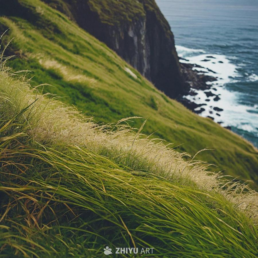 葱郁的草地山坡俯瞰着一片广阔的水域，可能是海洋。草