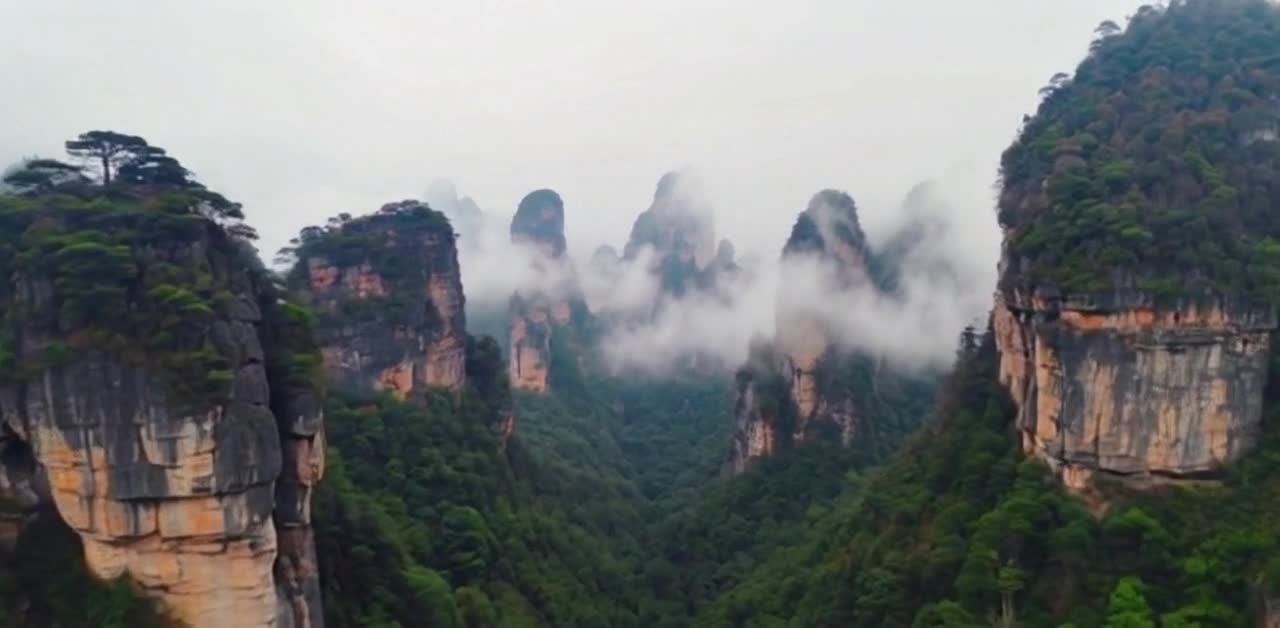 张家界云雾缭绕的峰林，苍翠欲滴景色迷人。