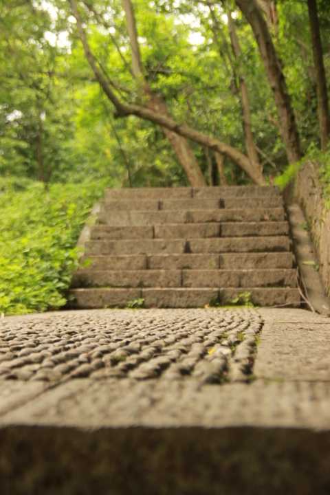 张家界的路