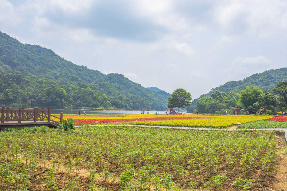 从化石门公园