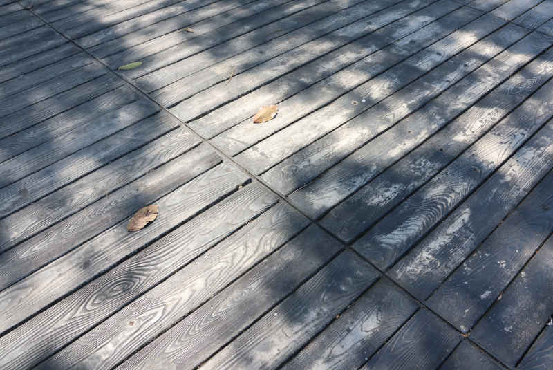 阳光树影木栈道2