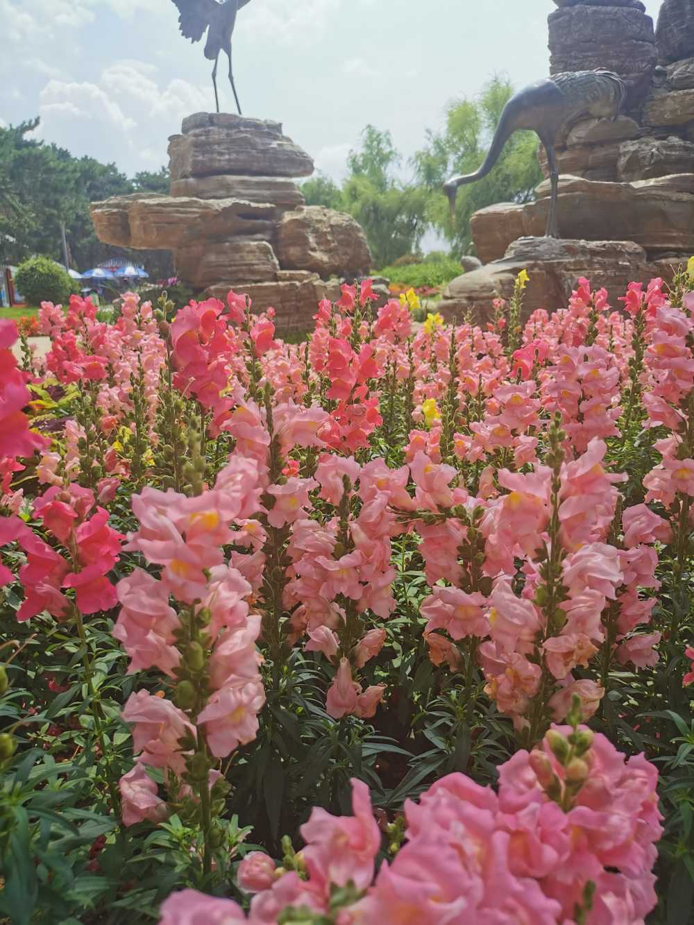 水光潋滟晴方好 风景 公园 