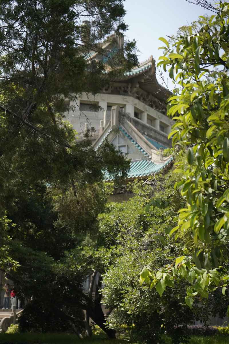 武汉大学