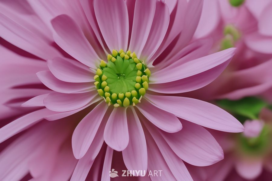 花 2