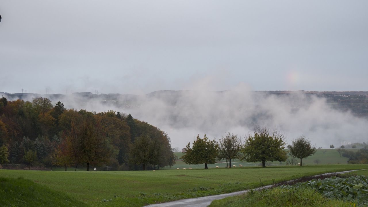 雾羊彩虹景观