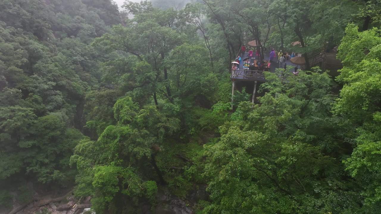 雨中森林观景台