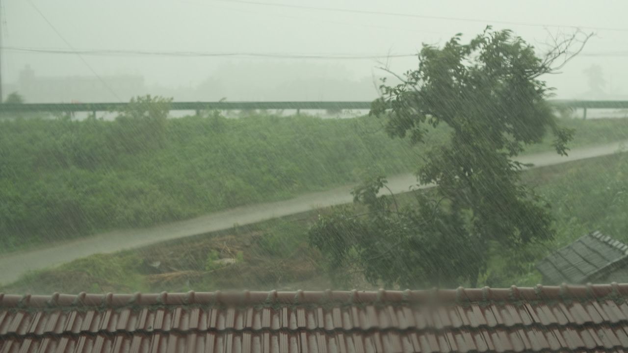 下雨清明谷雨酸雨倾盆大雨蒙蒙细雨 26