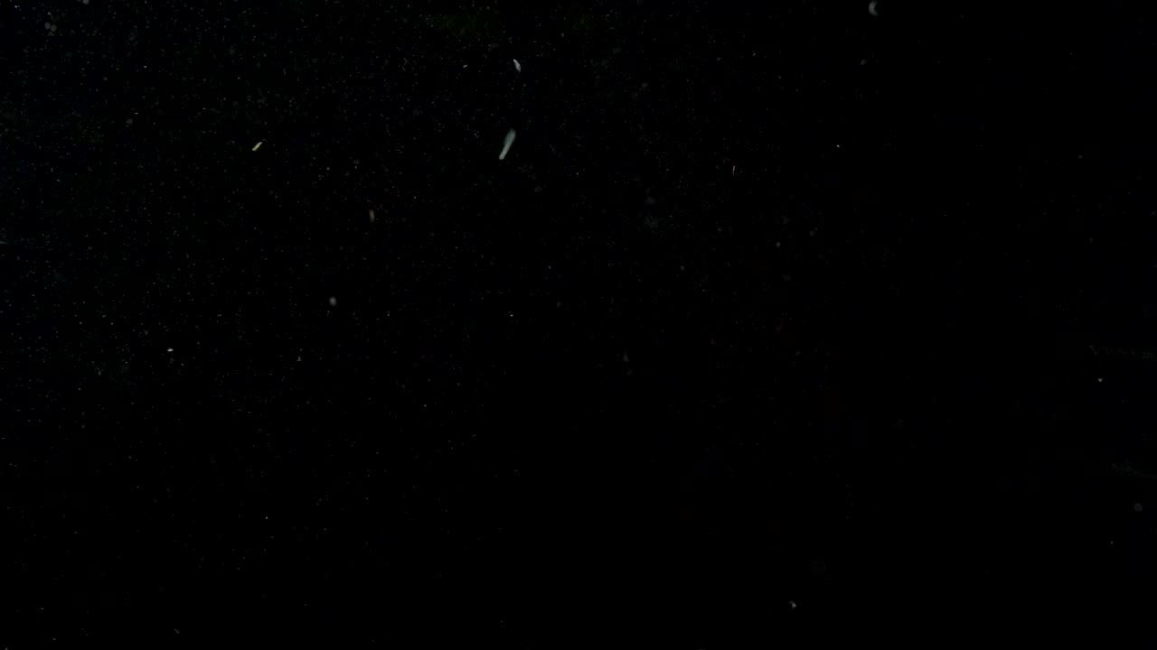 水果苹果梨子香蕉 4