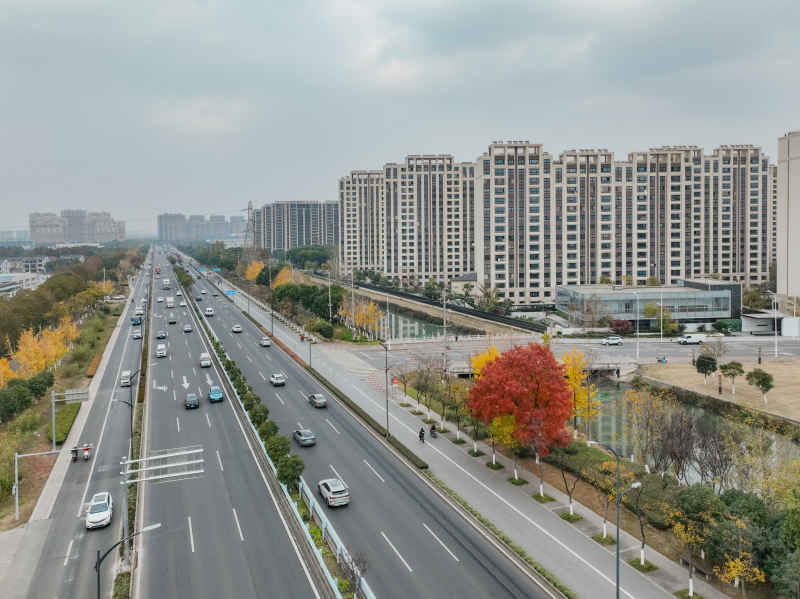 昆山道路上的秋冬景色 6