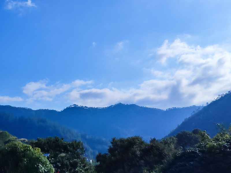 清晨的阳光