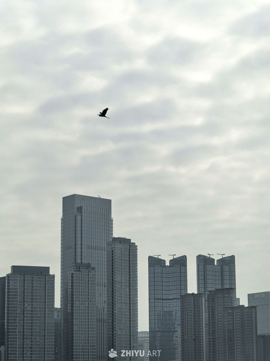 相逢意气为君饮，系马高楼垂柳边