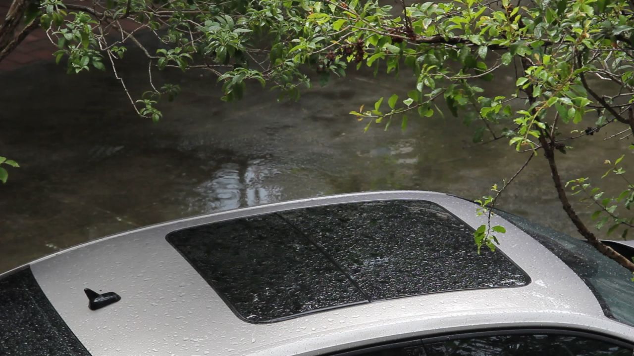 雨中小院桂花树下的小车顶