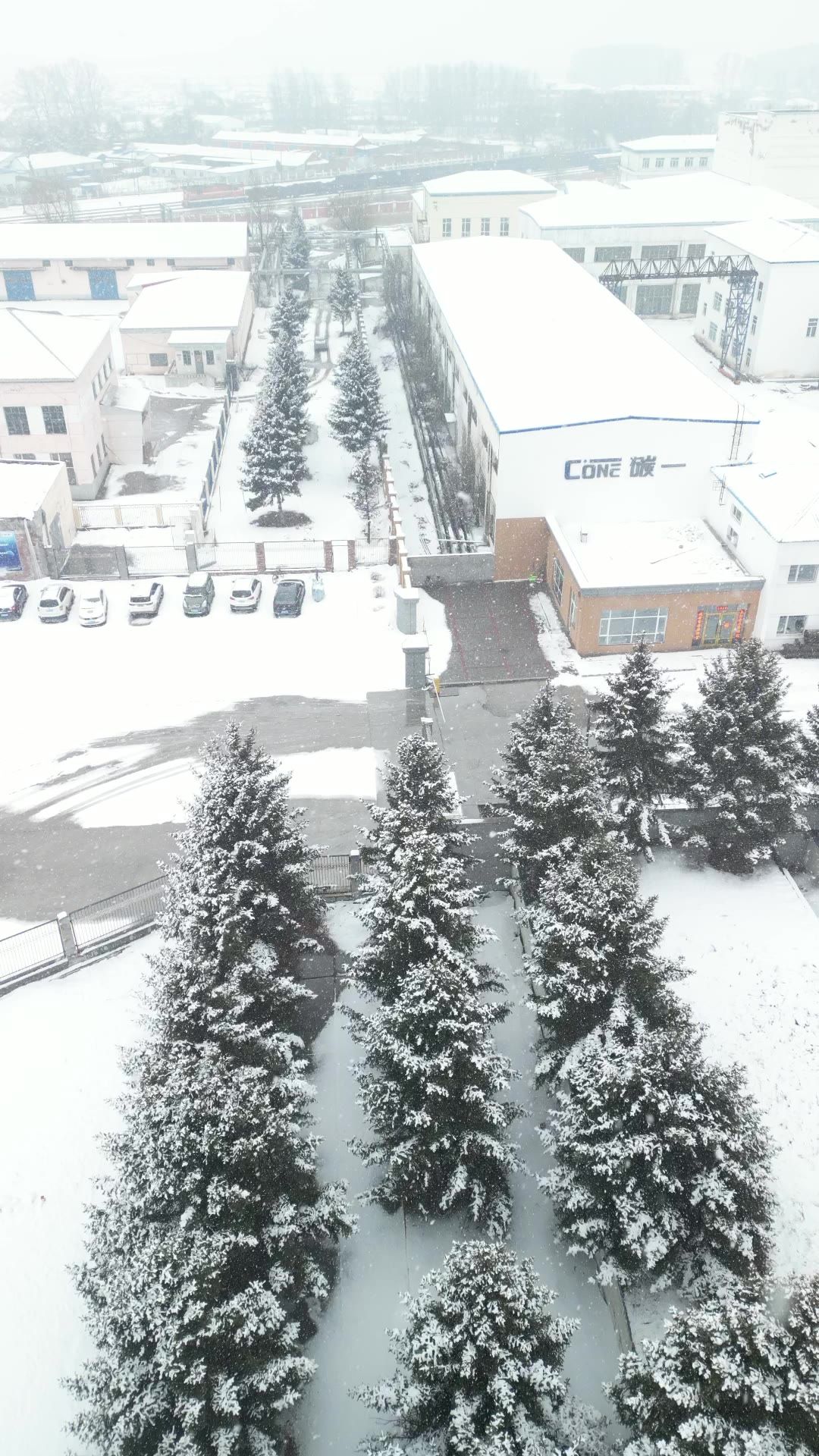 航拍 下雪 雪景 竖屏素材 8