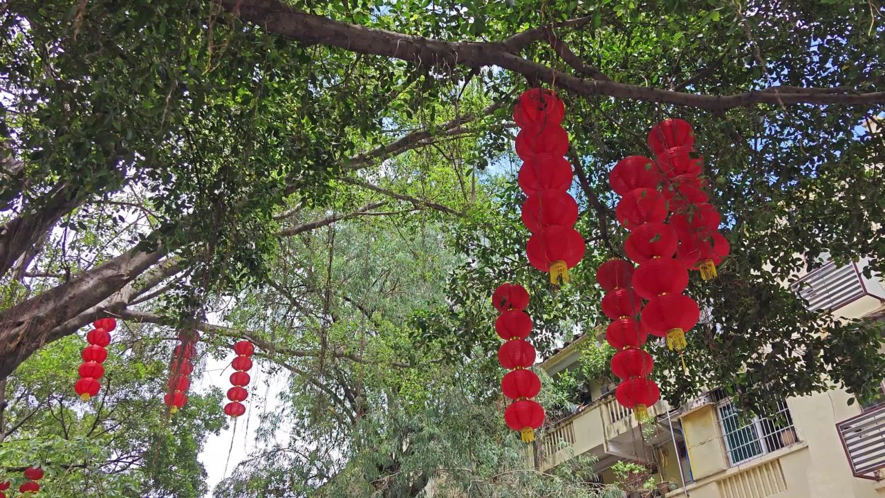 4K夏日蝉鸣绿树红灯笼