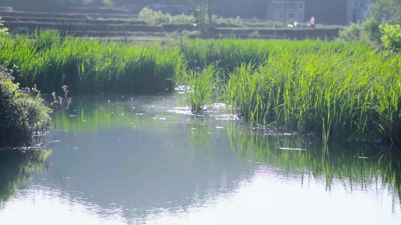 静谧的乡村河流