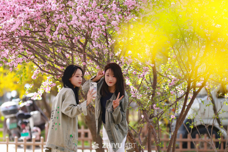 兰州黄河之滨绿意盎然春景如画 4