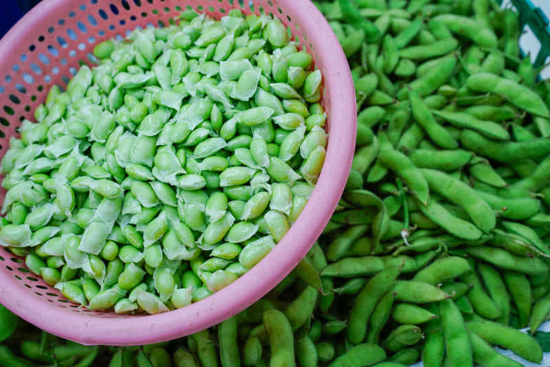 菜场的蔬菜 9
