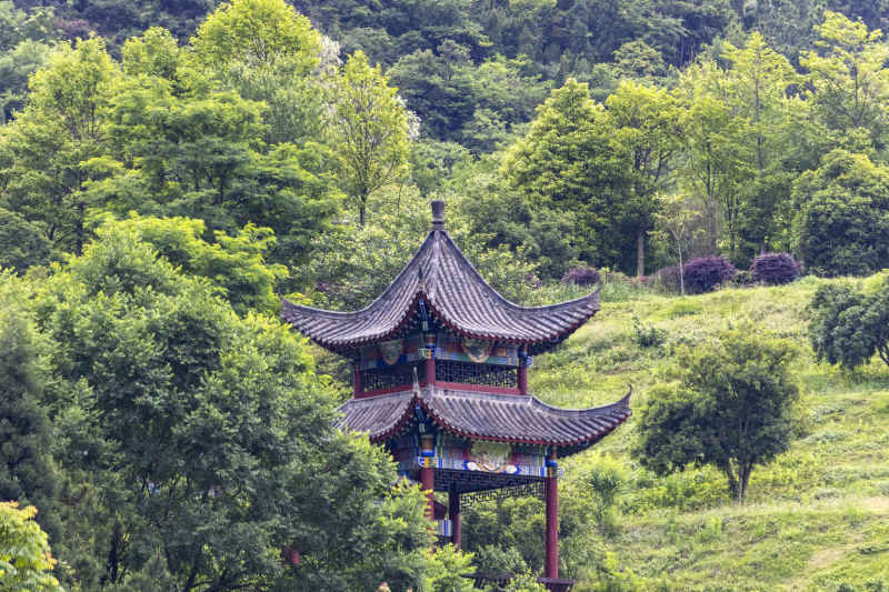 绿色中的亭子