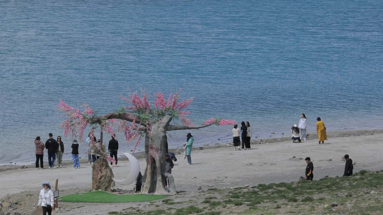 西藏羊湖游客