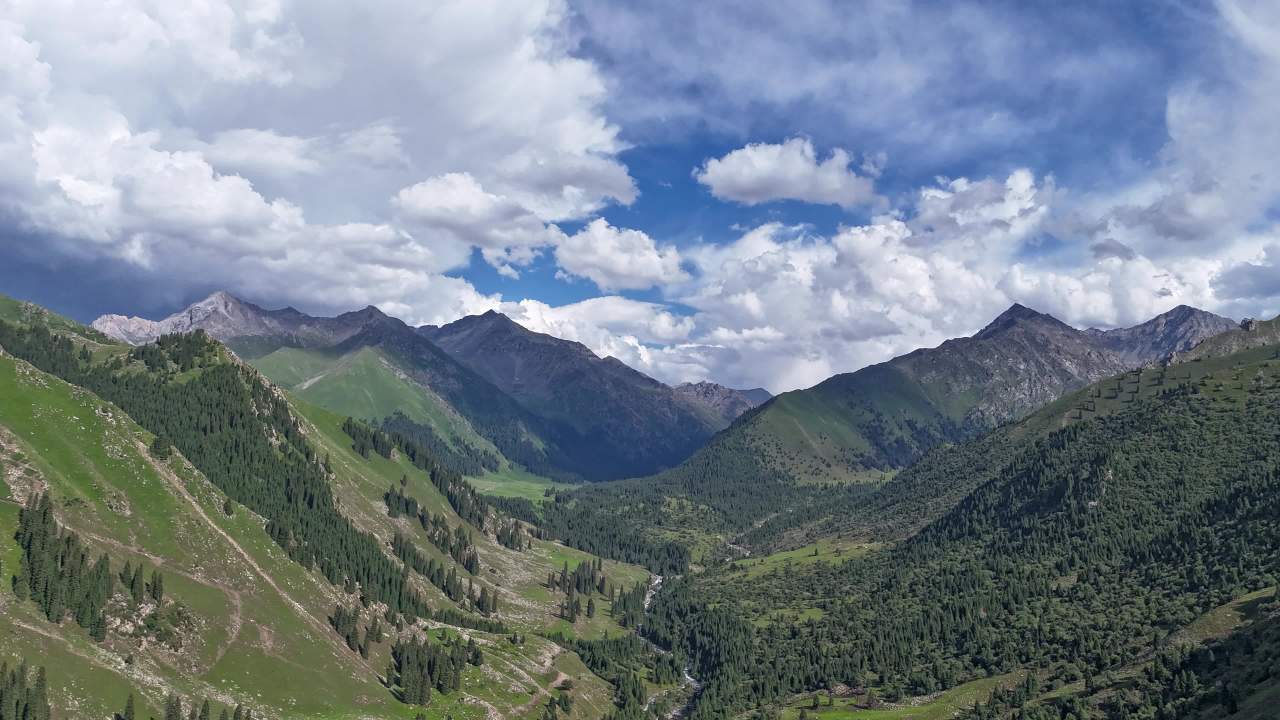 新疆伊犁琼库什台 1