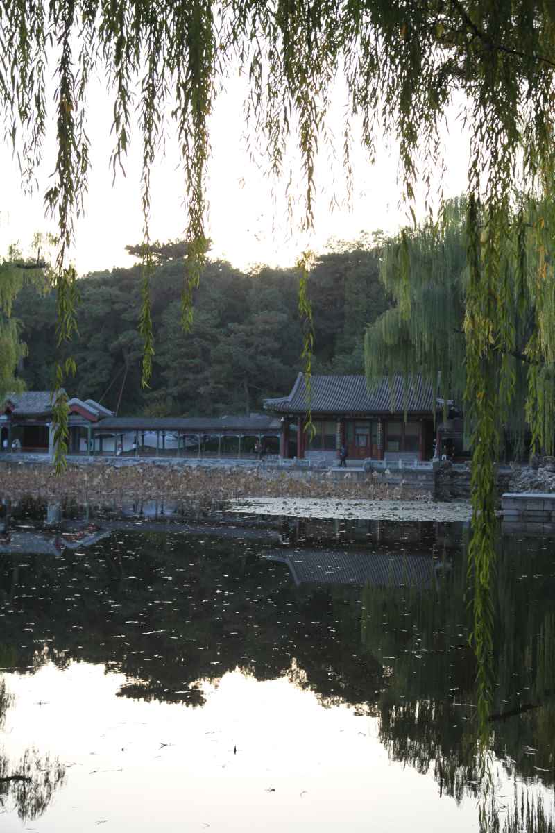 风景 51