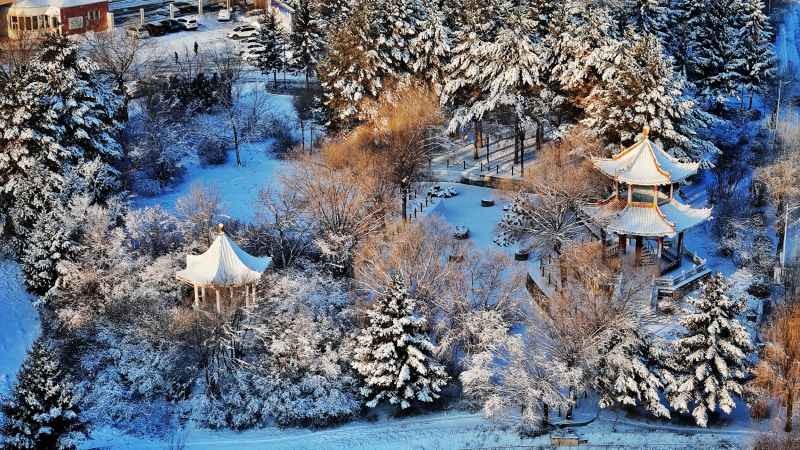 雾凇 雪松北国好风光 2