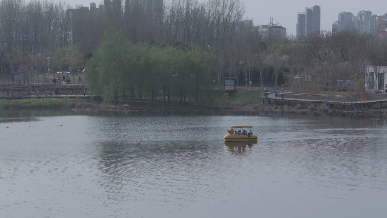湖上鸭子船悠然行