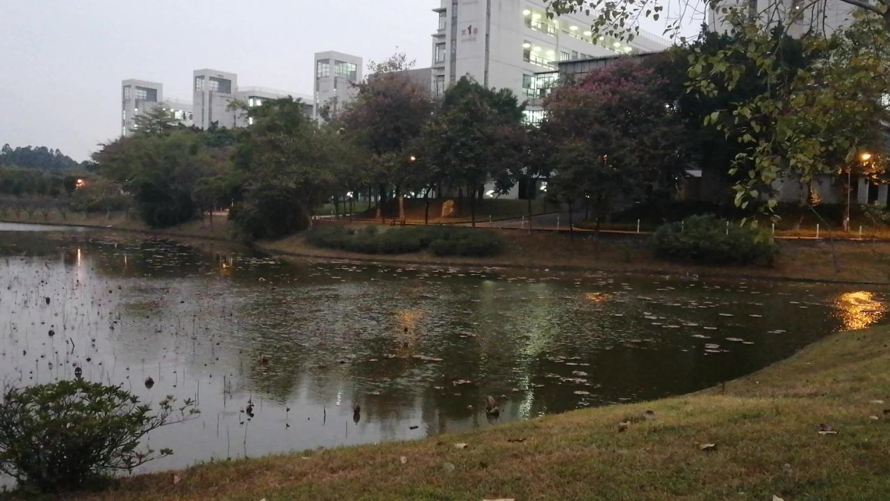 广州冬季某人工湖旁