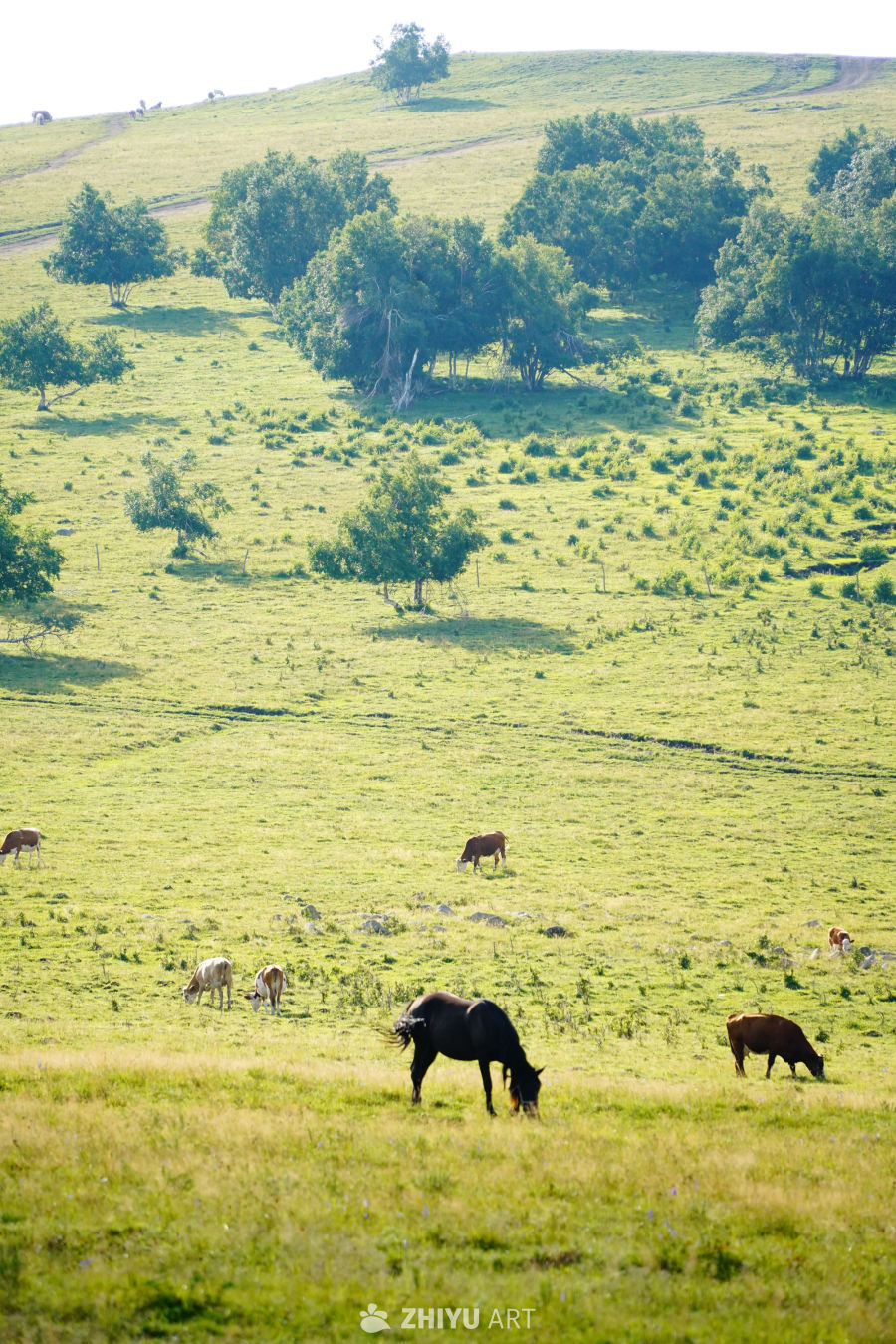 内蒙古东部小环线随拍 7