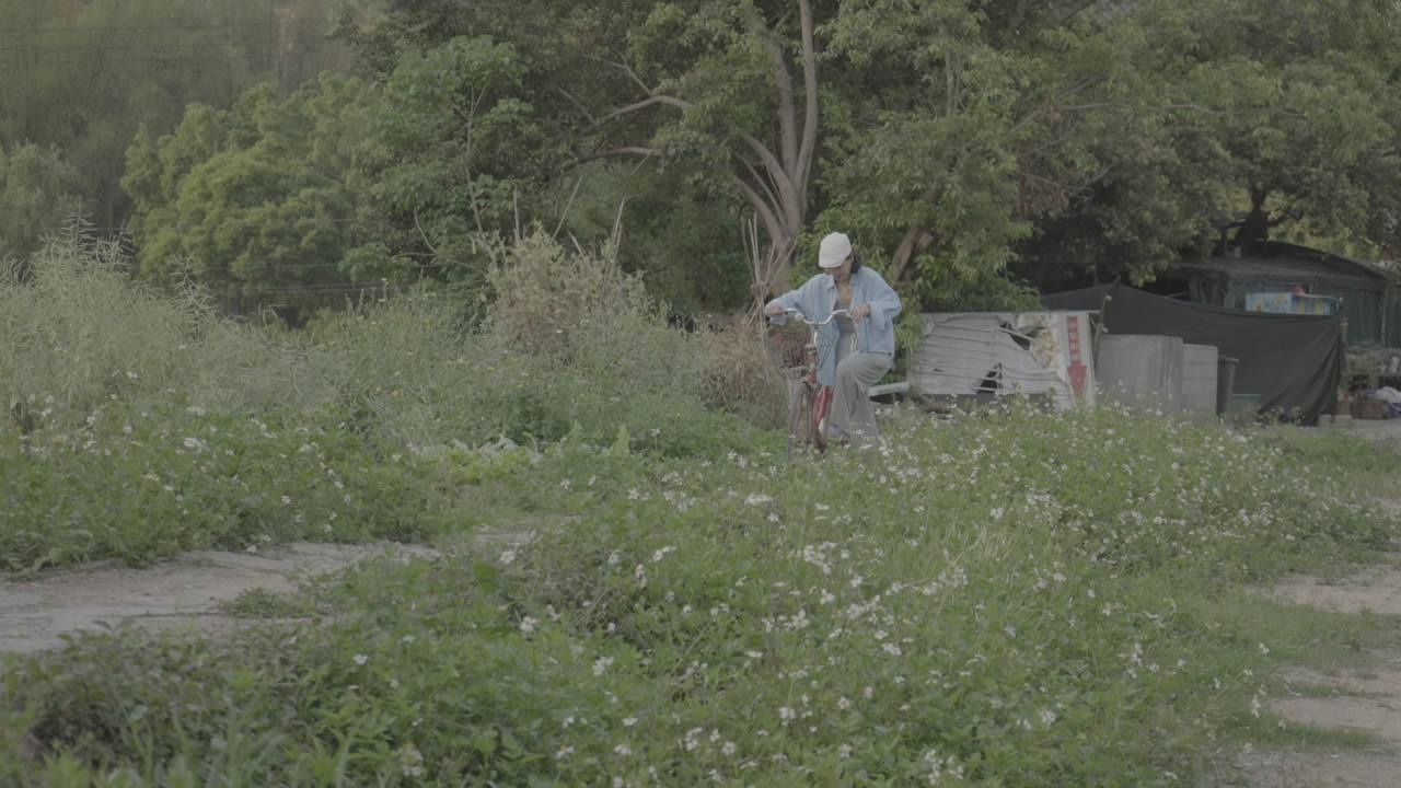 自行车 11